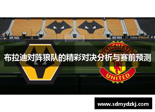 布拉迪对阵狼队的精彩对决分析与赛前预测