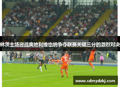 林茨主场迎战奥地利维也纳争夺联赛关键三分的激烈对决